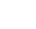 VeTrack Assistant